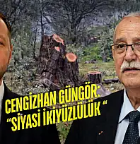 'Zeytinler fırtınada devrildi' dedi: Milas'ta CHP'li başkanın zeytin ağaçlarıyla ilgili tartışma büyüyor
