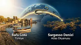 Ölümüne bir aşk yolculuğu: 7.000 km gidip bir daha asla dönmüyorlar…