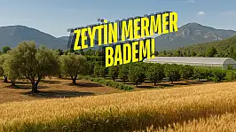 Evi Olan Kazanıyor! Muğla'nın Bu İlçelerinde Toprak Para Basıyor