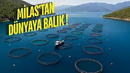 Muğla İhracatta Rekor Kırdı: Milas Ekonominin Lokomotifi Oldu