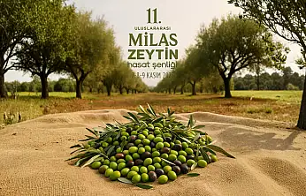 11. Uluslararası Milas Zeytin Hasat Şenliği başlıyor: Zeytinin başkentinden üç gün sürecek kutlama