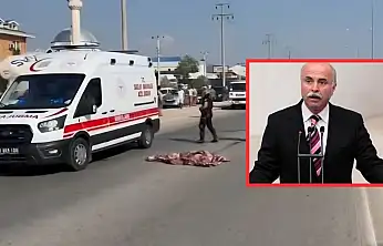 AK Parti Eski Milletvekili Ali Boğa Trafik Kazasında Hayatını Kaybetti