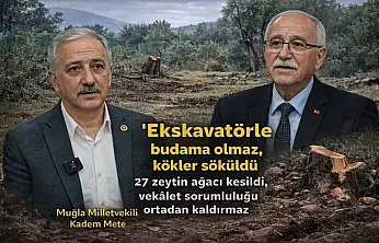 Kadem Mete: 'Vekâlet sorumluluğu kaldırmaz, 27 zeytin ağacı kesildi'