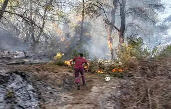 Milas Beçin'de Orman Yangını Büyümeden Söndürüldü