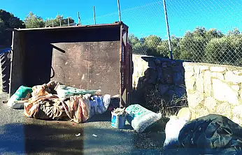 Milas Çamovalı'da Traktör Römorku Devrildi: 1 Yaralı