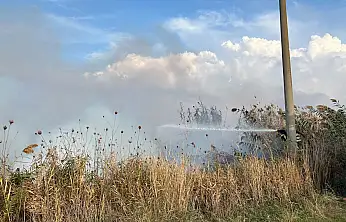 Milas Ekinambarı'nda Otluk Yangını Korkuttu