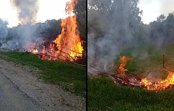 Milas Fesleğen'de Çıkan Yangın Hızla Söndürüldü