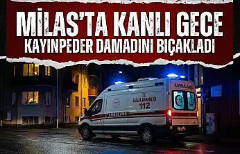 Sözlü Tartışma Şiddete Döndü: Kayınpeder ve Damat Kavgası Kanlı Bitti