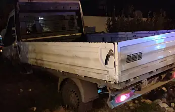 Milas'ta Aniden Yola Fırlayan Köpek, Kazaya Sebep Oldu