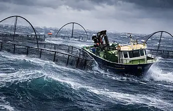 Milas'ta Fırtınaya Meydan Okuyan Ekmek Kavgası: Balıkçılar Güllük Körfezi'nde Dalgalarla Boğuştu