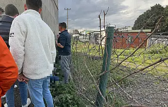 Milas'ta kargo aracının çarptığı yaşlı adam hastanede yaşamını yitirdi