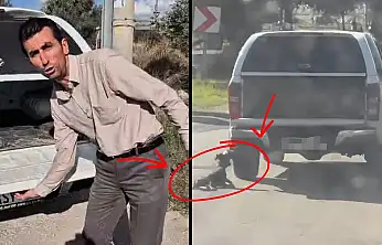 Milas'ta Köpeğin Sürüklenerek Öldüğü Görüntüler Tepki Çekti Sürücü:  'Olay Kazara Yaşandı Üzgünüm'