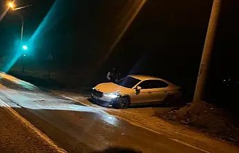 Milas'ta Korkutan Kaza: Tabelalara Çarpıp Şarampole Savruldu