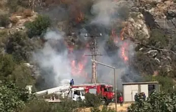 Milas'ta Makilik Alanda Çıkan Yangın Kısa Sürede Söndürüldü
