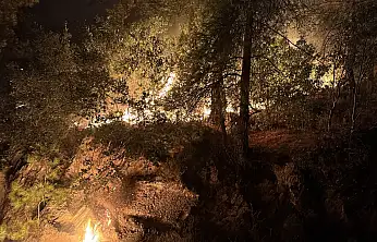 Milas'ta Orman Yangını Büyümeden Kontrol Altına Alındı