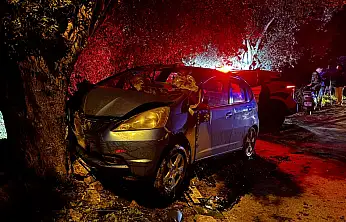 Milas'ta otomobil zeytin ağacına çarpıp takla attı: Sürücü yaralandı