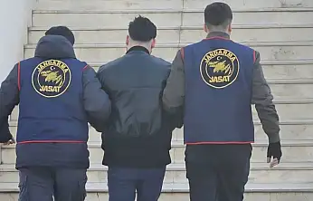 Milas'ta tarihi eser kaçakçılığı operasyonu: 111 parça ele geçirildi