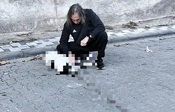 Milas'ta Vicdanları Yaralayan Olay: Köpeğe Çarpıp Arkasına Bakmadan Kaçtı!