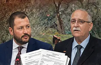 Milas'ta zeytin polemiği büyüyor: AK Parti'den 'aile boyu ruhsat' iddiası