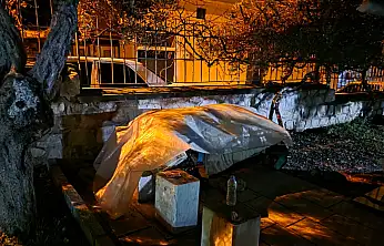 Milas Ulu Camii Bahçesinde Naylona Sarılı Yaşam Mücadelesi