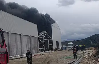 Son Dakika: Milas'ta Balık Firmasına Ait Depoda Büyük Yangın