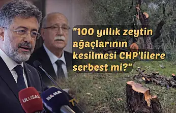 Tarım ve Orman Bakanı Yumaklı'dan Milas'ta kesilen zeytin ağaçlarıyla ilgili sert açıklama