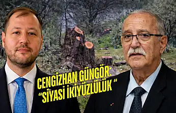 'Zeytinler fırtınada devrildi' dedi: Milas'ta CHP'li başkanın zeytin ağaçlarıyla ilgili tartışma büyüyor