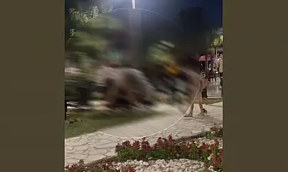 Esentepe Parkı'nda Şiddetli Kavga: Vatandaşlar Panik İçinde Parkı Terk Etti