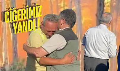Eskişehir'den Kahreden Haber: 10 Orman İşçisi Şehit Oldu