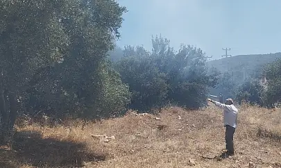 Milas Aslanyakası'nda Makilik Alanda Yangın Çıktı: Ekipler Seferber Oldu