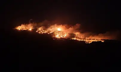 Milas Çine sınırında orman yangını büyüyor