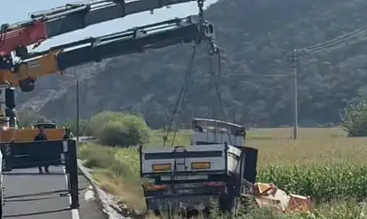 Milas Damlıboğaz'da TIR Kazası: Araç Tarlaya Uçtu