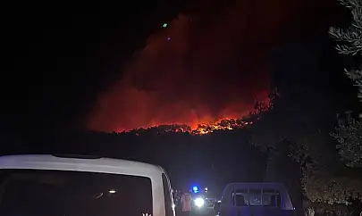 Milas'ın Kıyıkışlacık Mahallesi'nde gece yarısı yangın alarmı