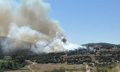 Milas'ın Meselik Mahallesi'nde Ziraat Alanında Çıkan Yangın Kontrol Altına Alındı