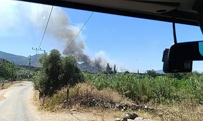 Milas Pınarcık'ta Makilik ve Zeytinlik Alanda Yangın Çıktı