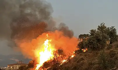 Milas'ta Araç İçerisinden Atıldığı İddia Edilen Meşale Orman Yangınına Sebep Oldu....
