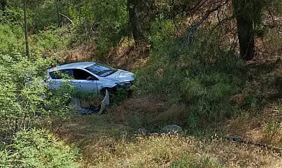 Milas'ta araç ormanlık alana uçtu: Sürücü yaralandı