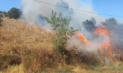 Milas'ta Elektrik Direği Yangına Neden Oldu