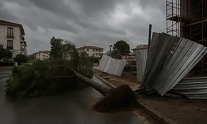 Milas'ta fırtına etkili oluyor: Ağaçlar devrildi
