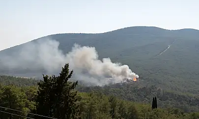 Milas'ta Peş Peşe Yangınlar: Kazıklı Mahallesi'nde Konteyner Alev Aldı
