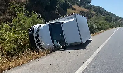 Yola Aniden Çıkan Köpek Kazaya Neden Oldu: Kamyonet Refüje Devrildi