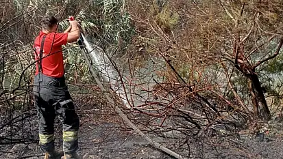 Avşar Ovası'ndaki Yangına Anında Müdahale
