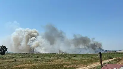 Milas Avşar Mahallesi'nde Otluk Alanda Çıkan Yangın Büyüyor