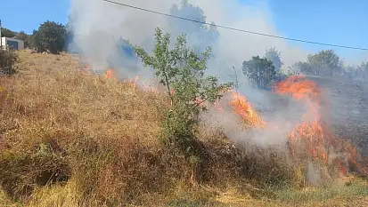 Milas'ta Elektrik Direği Yangına Neden Oldu