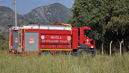 Milas'ta Elektrik Telleri Yangın Çıkardı: Otluk Alan Alev Aldı