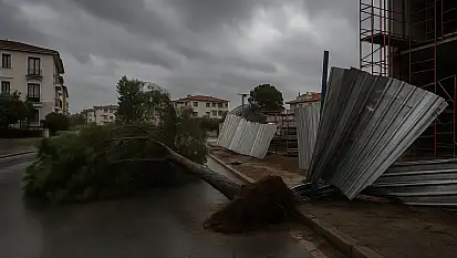 Milas'ta fırtına etkili oluyor: Ağaçlar devrildi