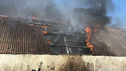 Milas'ta Yangın Paniği: Uygulama Çiftliği Alevlere Teslim Oldu