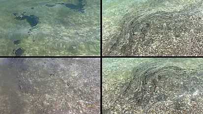Muğla Ören'de Deniz Kirliliği Endişesi: Mazot Kokusu ve Pislik Yüzüyor
