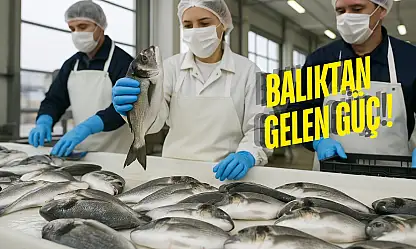 2024'ün Su Ürünleri Şampiyonları Milas'taki Firmalar Oldu