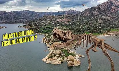 70 milyon yıllık sır: Türkiye'de dinozor fosili bulundu mu?